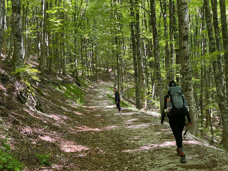 Yoga Trek con bagno sonoro alla scoperta della Valle degli Angeli (Terminillo) - Strike Adventure