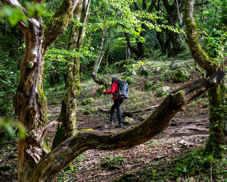 Yoga Trek nel cuore dei Monti Lucretili - Strike Adventure